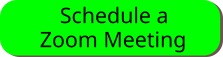 Schedule a Zoom meeting with the stated clerk