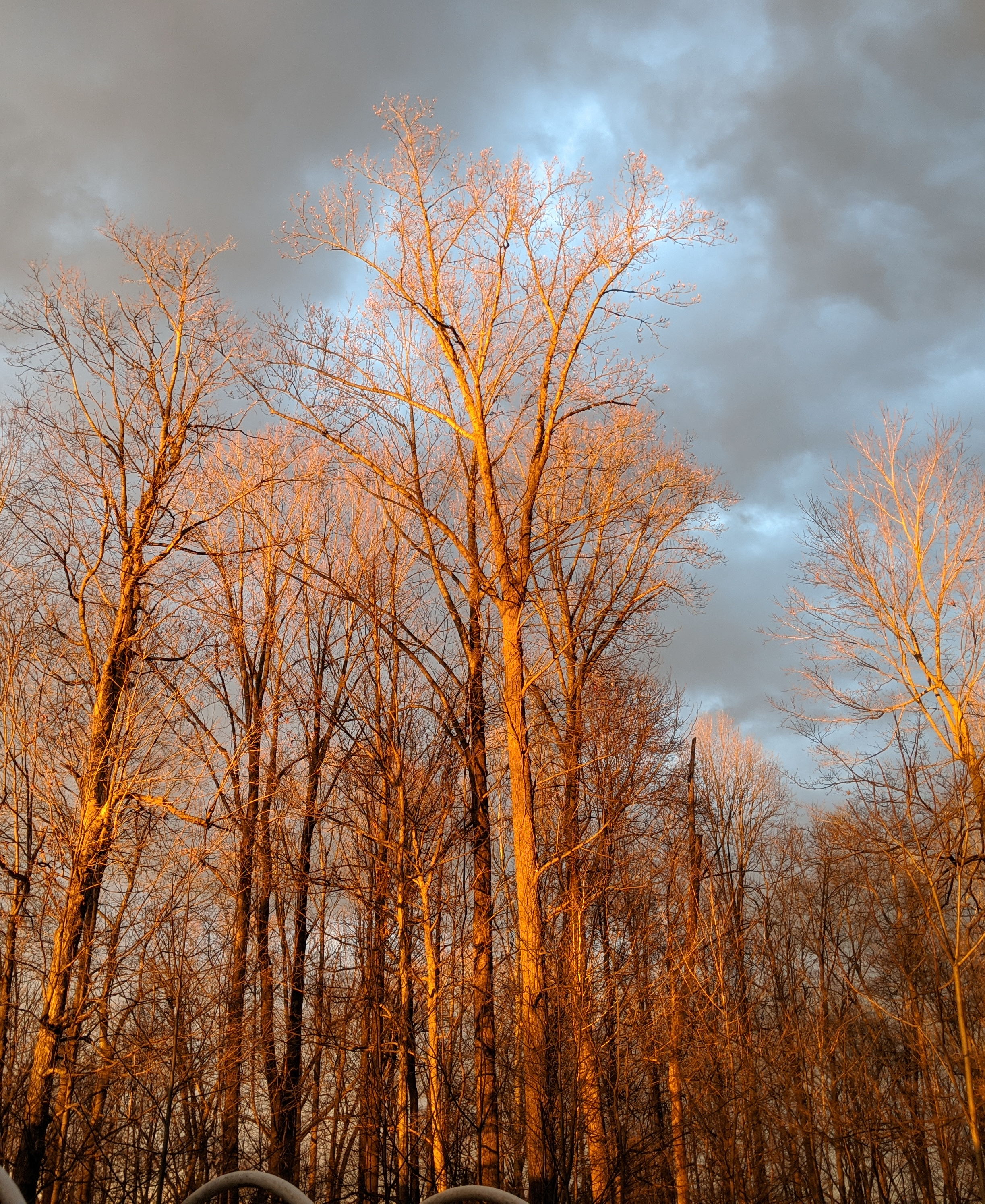 Sunset before a storm