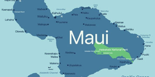 Support PDA’s response to Hawai‘i wildfires