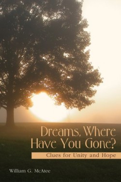DreamsWhereHaveYouGone3335_f