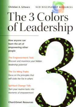 three_colors_of_leadership